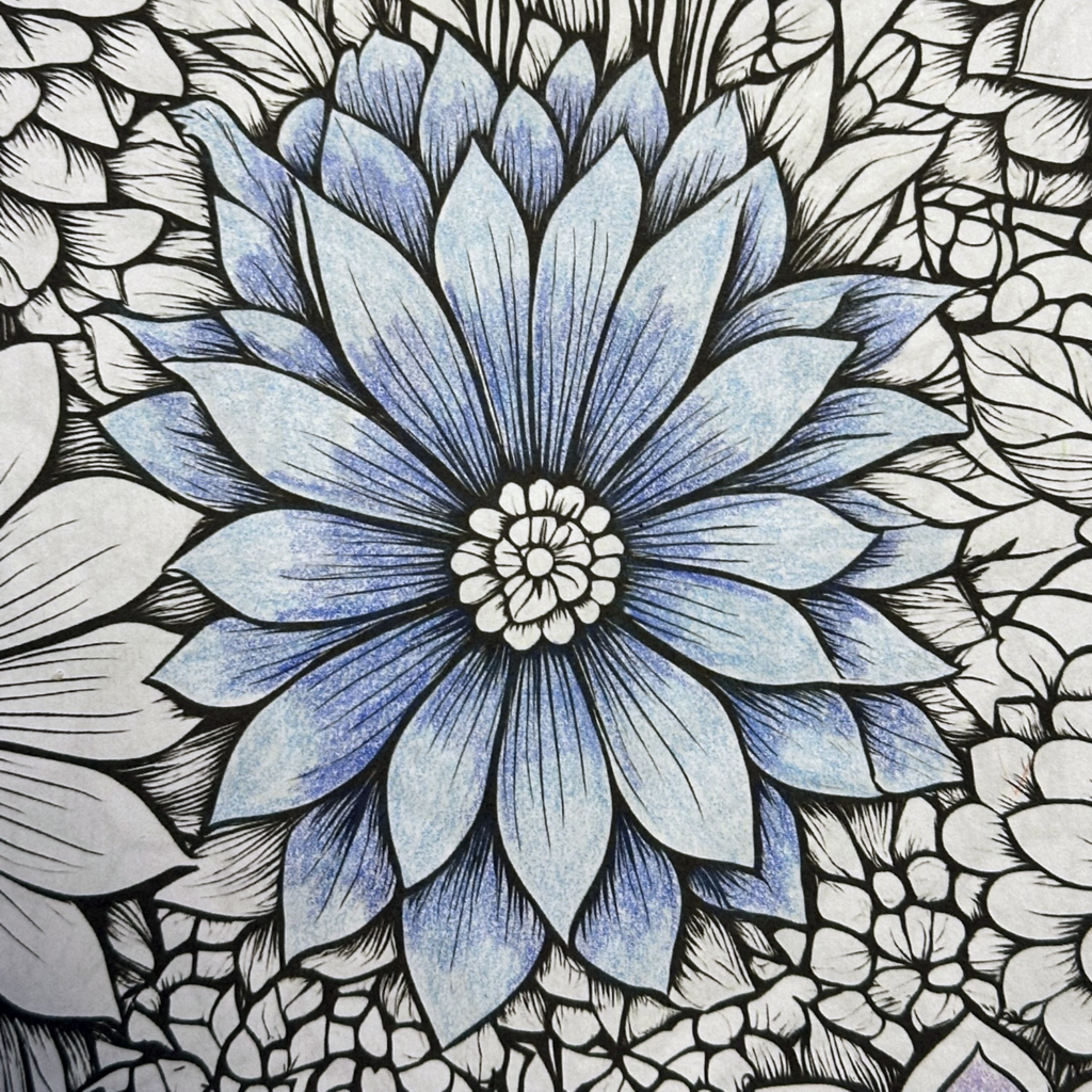 flower mid tones coloring with colored pencils